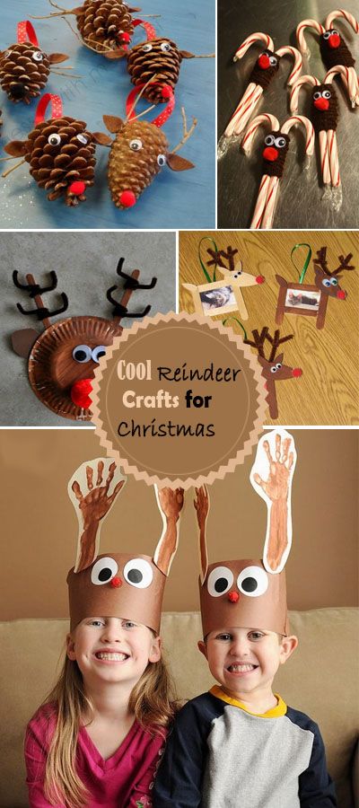 Cool Reindeer Crafts for Christmas! 