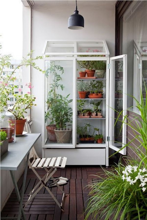 Smart and simple balcony garden with cabinet turned greenhouse. 