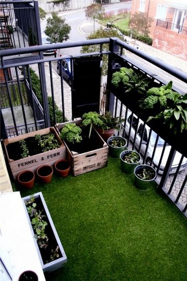 Small balcony on top floor flat which was covered with beautiful soft fake grass and planted salads and scented flowers in old fruit crates. 