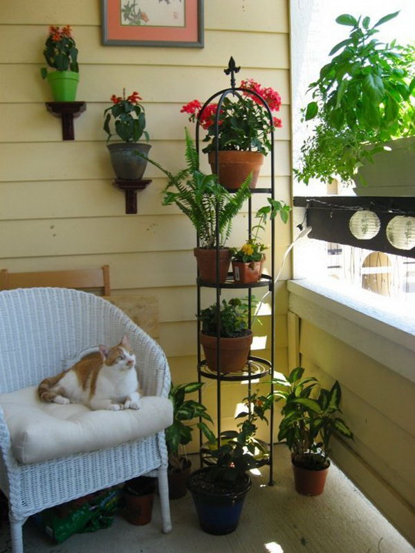 Use various levels to place the plants for your small balcony garden. This not only helped to save room, but it also maximized the amount of sun exposure for the plants. 