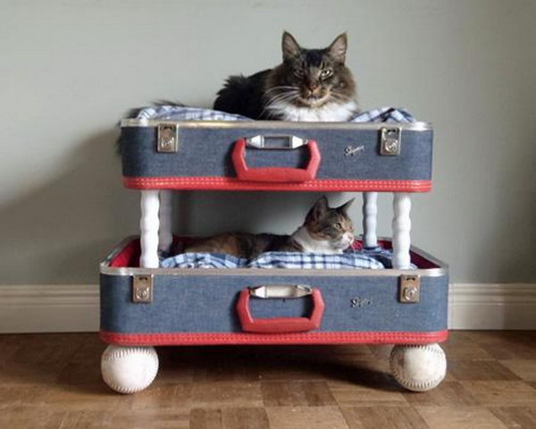 Pet Bed Made From Old Suitcase,