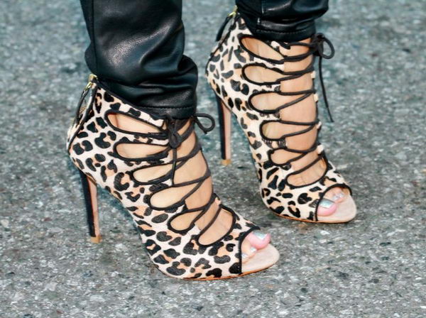 Leopard on Feet.