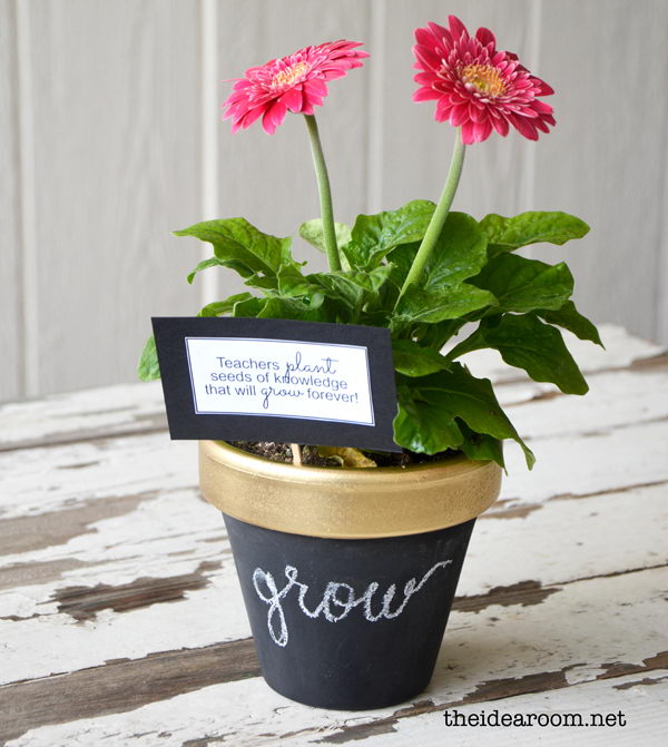 DIY Chalkboard Flower Pot. This gift is an excellent choice to thank the teachers who are flower lovers. It will be more thoughtful presents if you select their favorite flowers respectively for them. 
