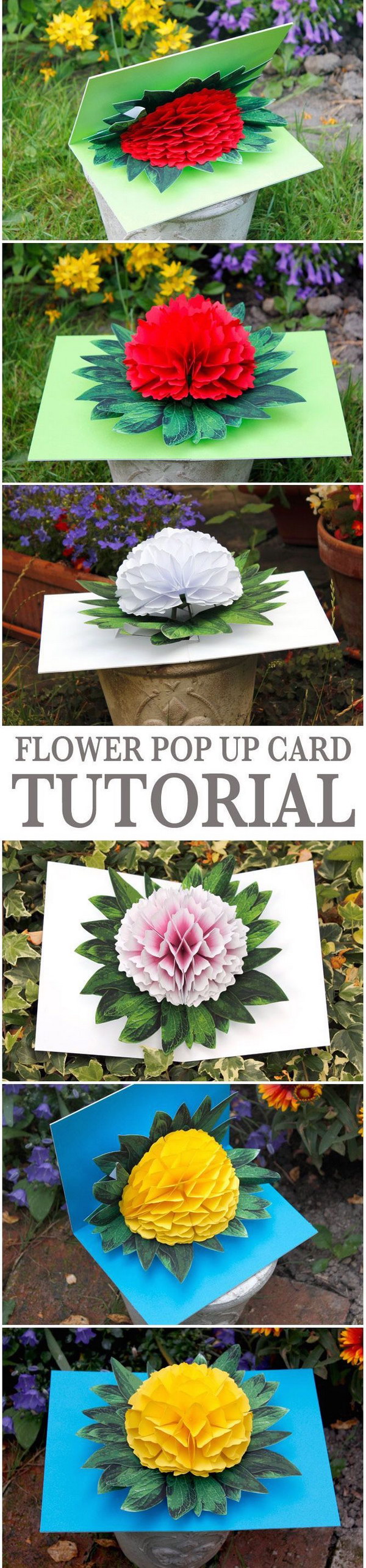 Flower Pop-up Card. 