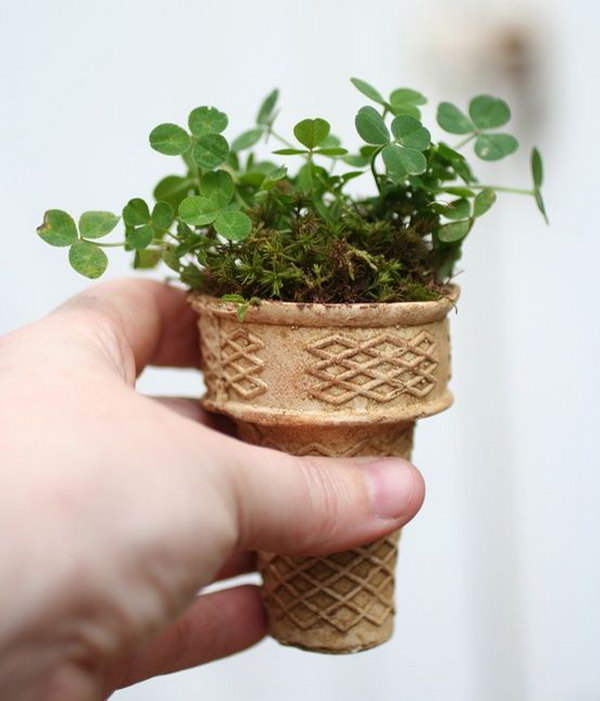 Ice cream cone planter.Plant seeds in ice cream cones and put it on the ground.How clever,It’s biodegradable and is the perfect way to start a small garden.