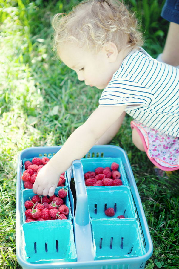 Berry Picking. Get together to pick berries at the time they are popping up to enjoy the crisp flavor of fresh fruit. You can also have a lot of fun picking it. It's a fantastic way to enjoy your summer party outdoor with a lot of pleasure.