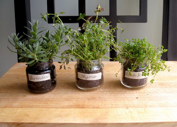 A Baby Food Jar Herb Garden. It would be a waster to throw baby jars away. Transfer seedling in the jars to present a fresh spring style for beautiful garnishment.