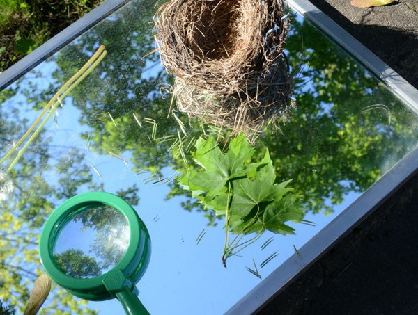  Mirrors used to explore nature. Place such a large mirror with some smaller specimen mirrors on top in your garden. More nature beauty will bring into your garden. 