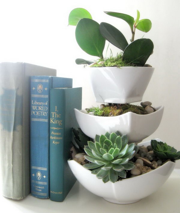 Dollar Store Succulent Planter. Glued clear glasses in between dollar store ceramic bowls in different sizes. Be sure to leave an opening wide enough to insert plants. It doesn't need to spray paint the glasses because they would not be visible once the plants were in. 