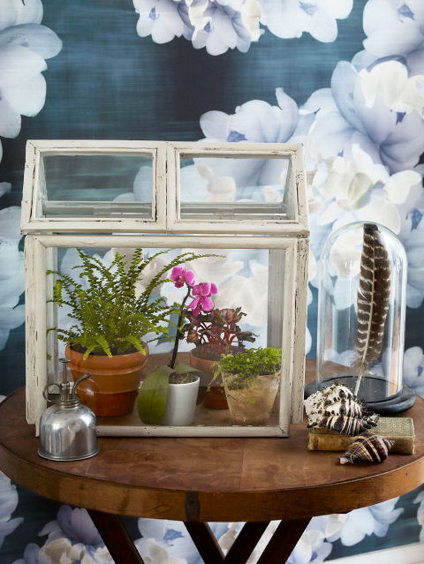 DIY Mini Terrarium. You can make a beautiful desktop terrarium from picture frames that you can get at the Dollar Store for less than $1 each. You will also need a few hours because this project is a bit time consuming. The end result however, is gorgeous. 