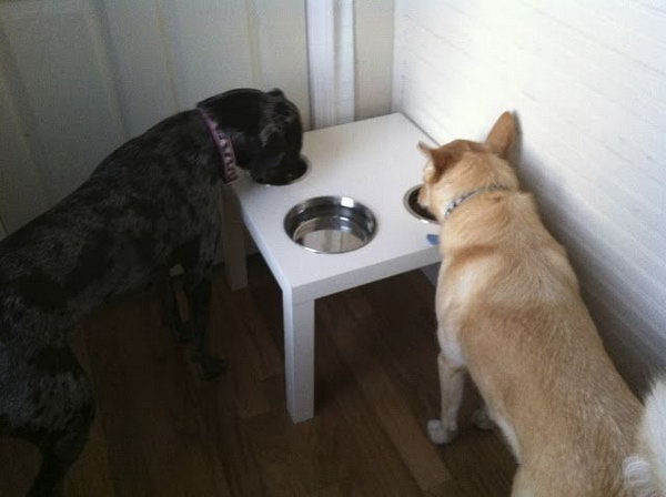 DIY Dog Dinner Table. Dogs often push their bowls around the kitchen floor when they eat. You can buy a LACK side table from IKEA and cut the properly sized holes in which to place our dog's food and water bowls. It would be much nicer to have them stay in one place. See more