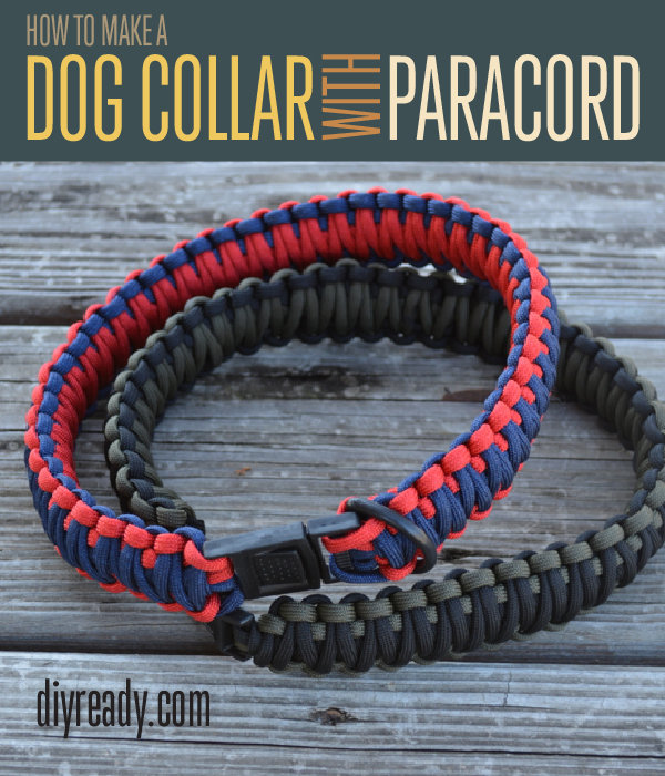 DIY Parcaord Dog Collar with a Side Release Buckle
