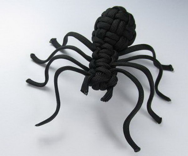 Paracord Spider