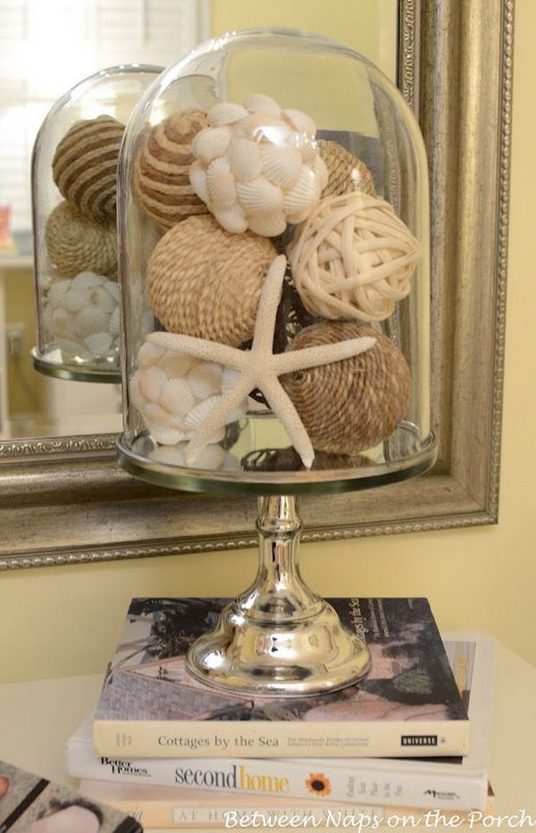 Creative Idea to Display Seashells 