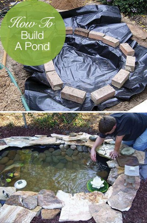 Create a Free-Form Backyard Pond Easily, Cheaply and Beautifully 