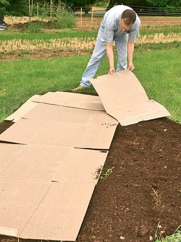 Make a Garden Bed over an Existing Lawn with Cardboard 