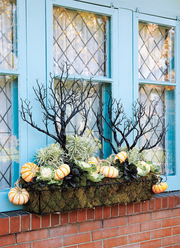 Unusual Fall Window Box with Eerie Branches. 