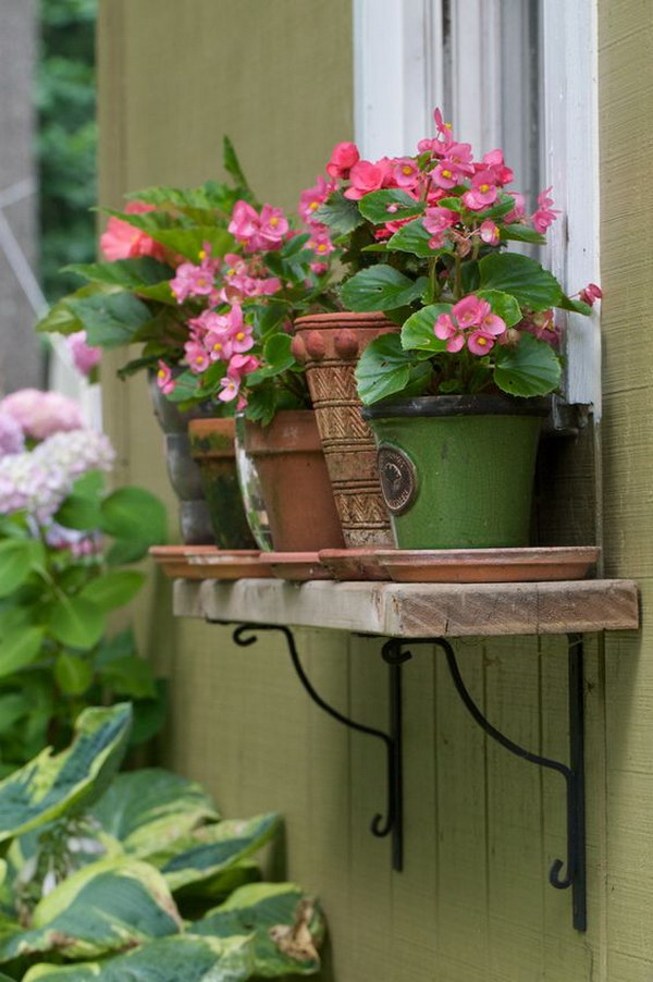 Window Box Alternative Pots on a Shelf. 