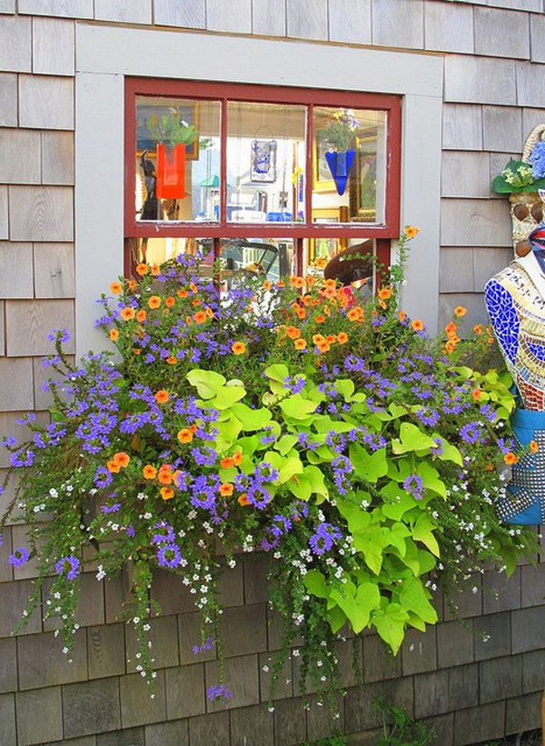 Lovely Window Box. 