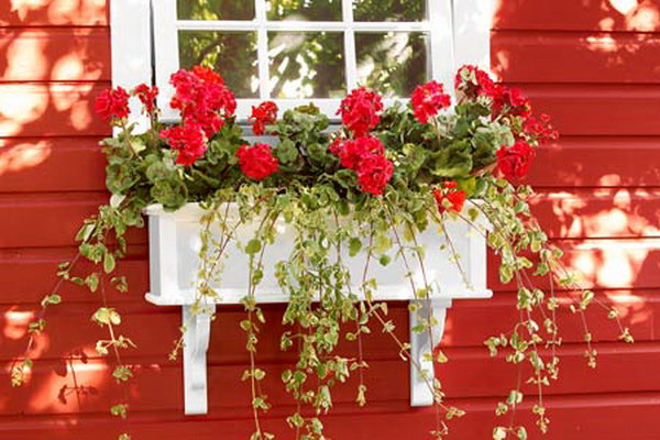 PVC Window Box. 