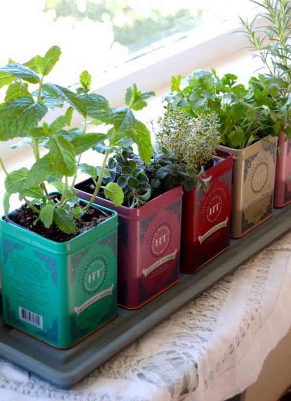 Tea Tin Window Boxes. 