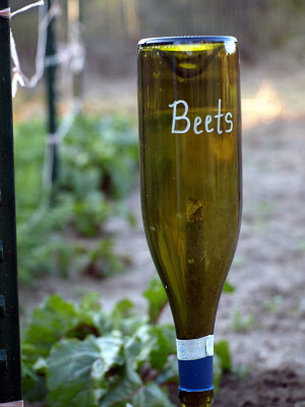 DIY Wine Bottle Plant Markers 