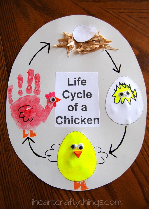 Cute Craft for Life Cycle Of A Chicken. 
