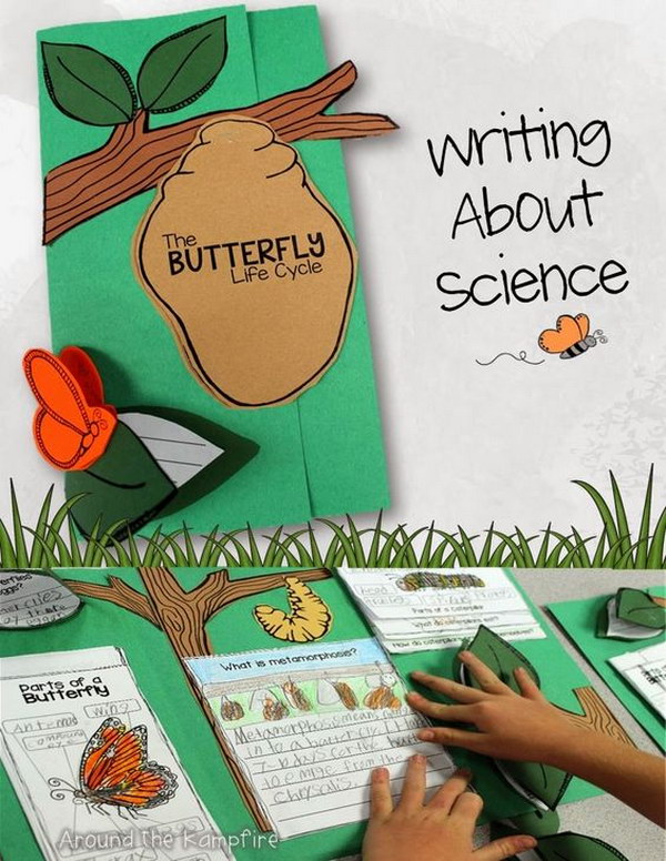 Butterfly Life Cycle Project for Kids. 