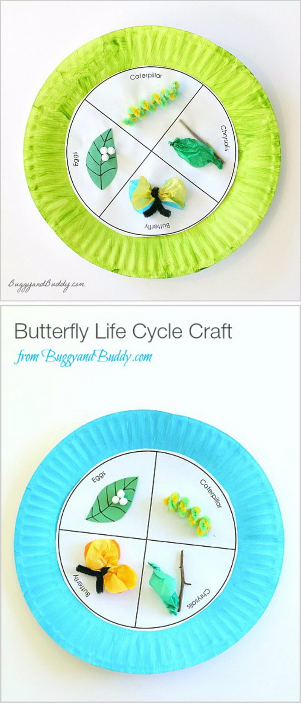 Butterfly Life Cycle Paper Plate Craft for Kids. 
