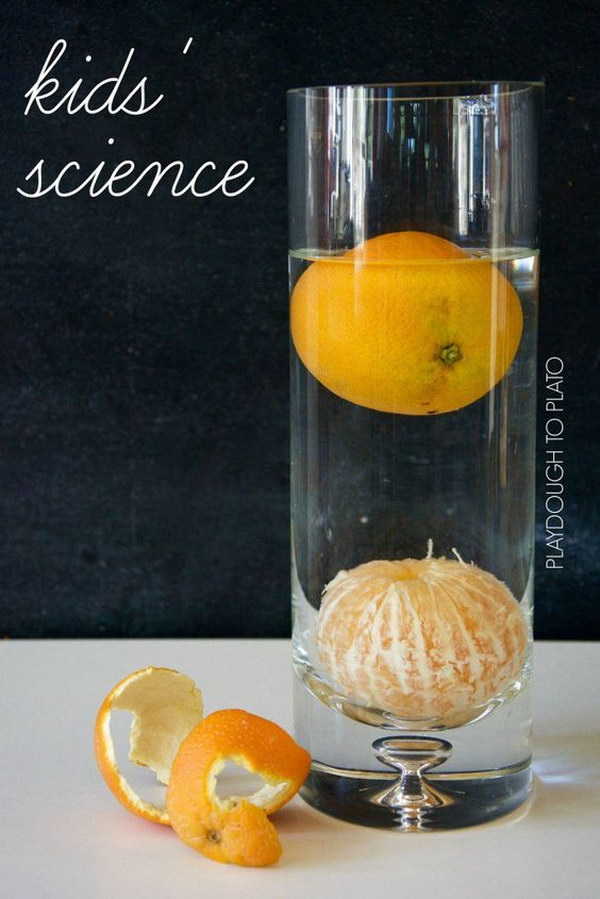 Orange Sink or Float Science Experiment. 