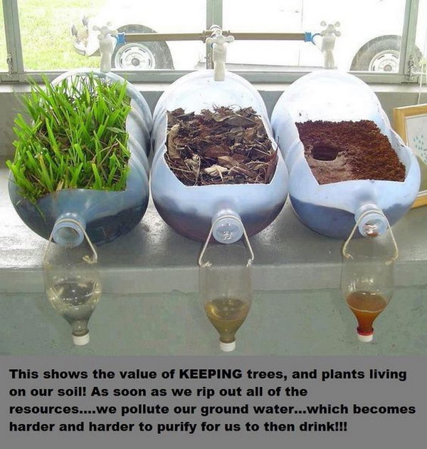 Erosion and Pollution Science Experiment: It's easy to set up and shows the value of an ecosystem. 