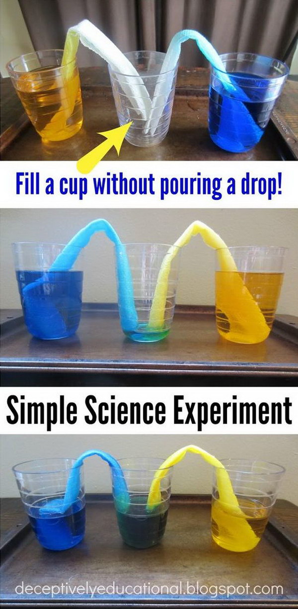 Walking Water Science Experiment for Kids. 