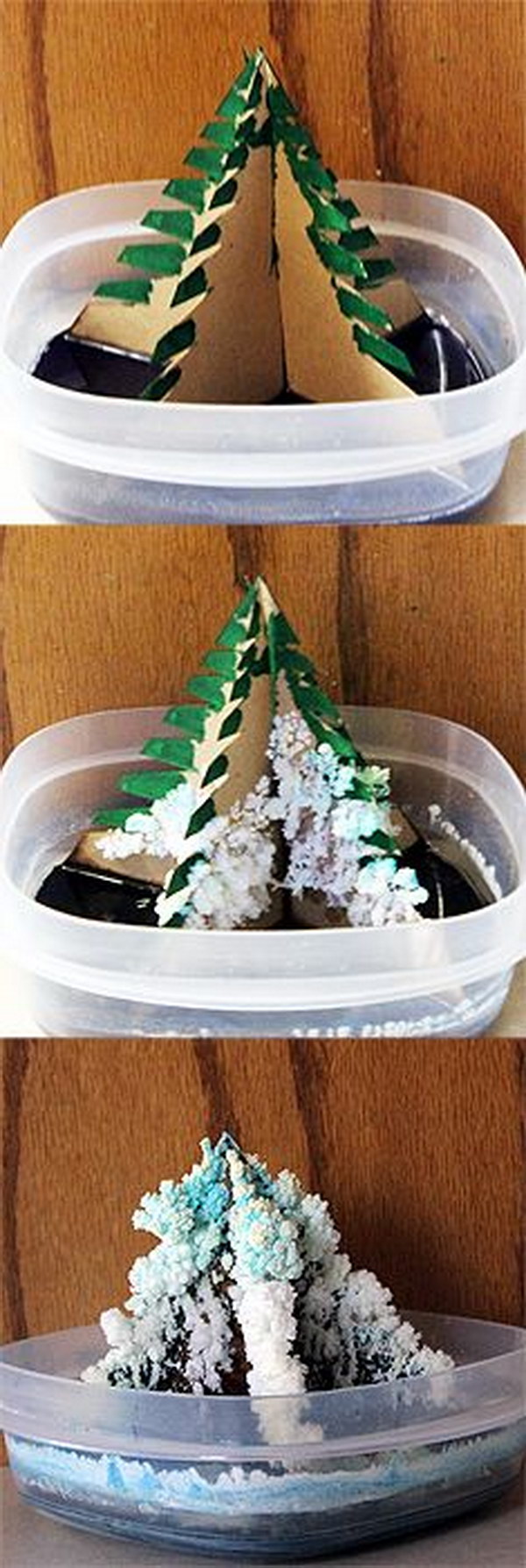 Grow your own Christmas Tree with this Fun Christmas Tree Science Experiment. 