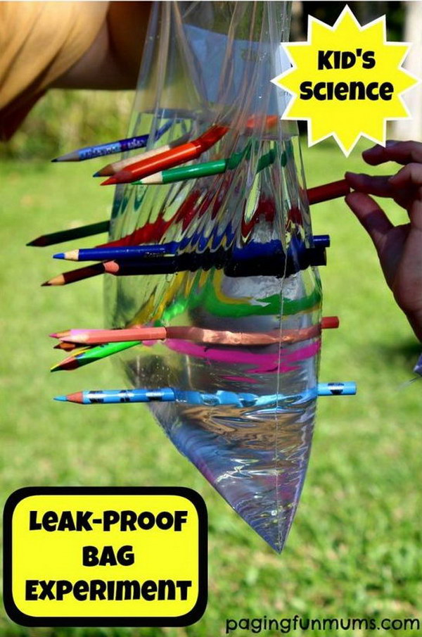 Leak-Proof Bag Science Experiment. 