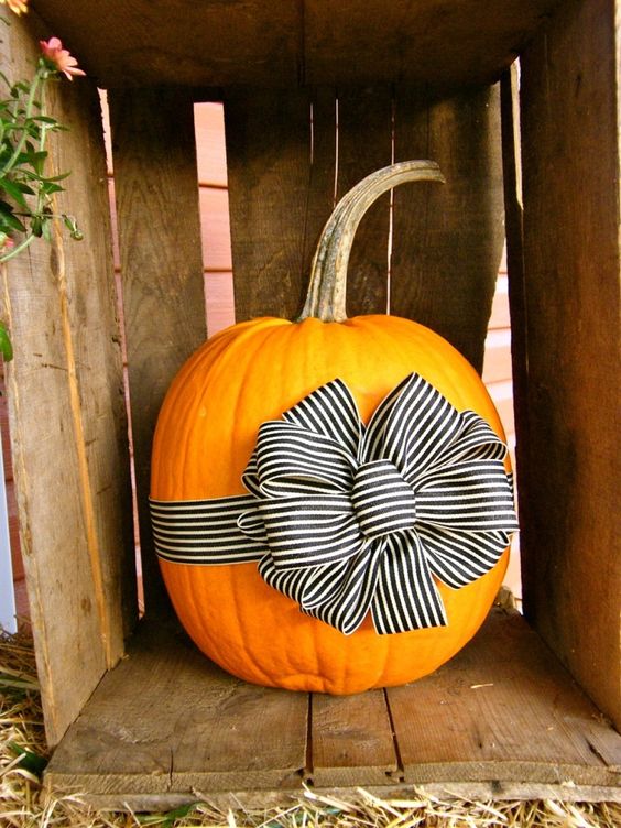 Pumpkin Decoration with Bows. 