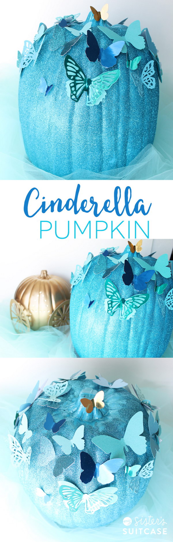 Cinderella Butterfly Pumpkin. 