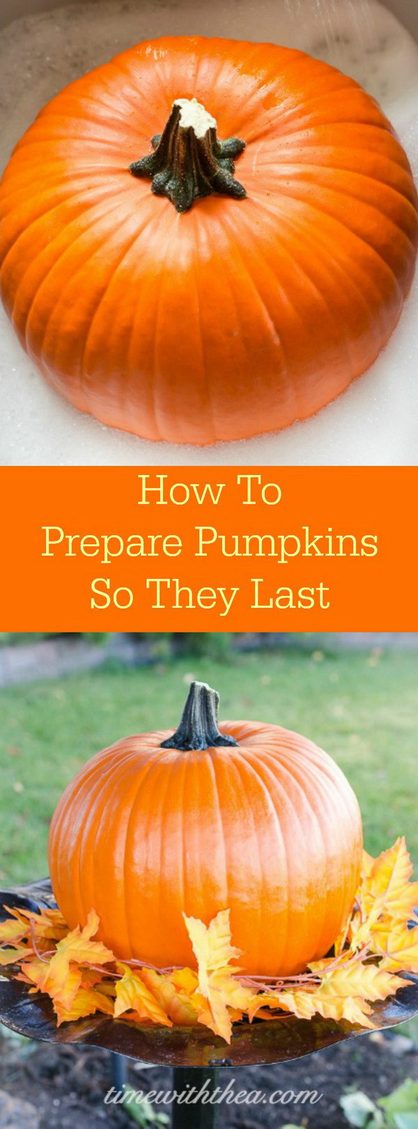 How To Prepare Pumpkins So They Last. 