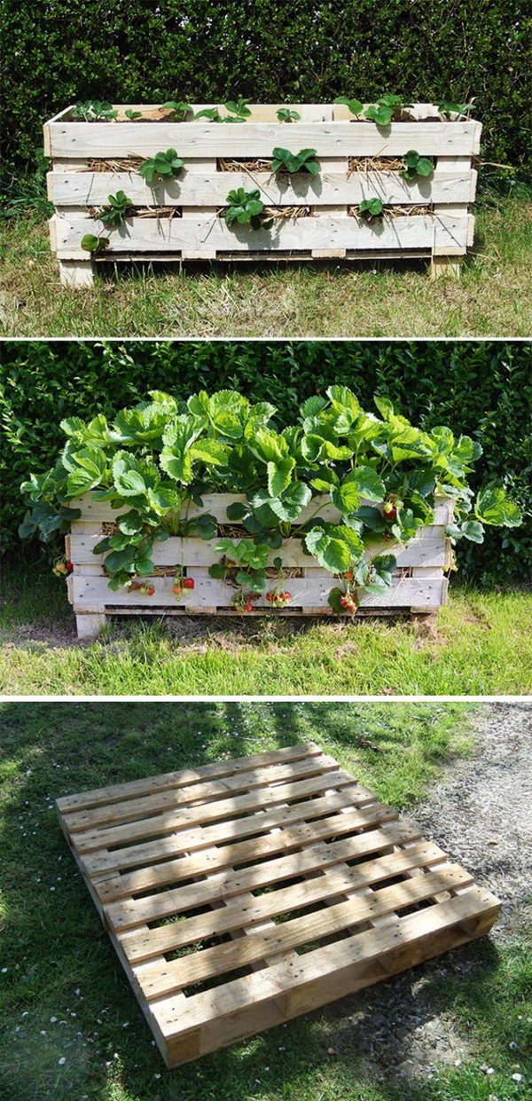 DIY Strawberry Pallet Planter. 