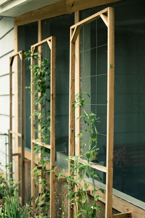 Trellises From Cedar Boards And Wire Cabling. 