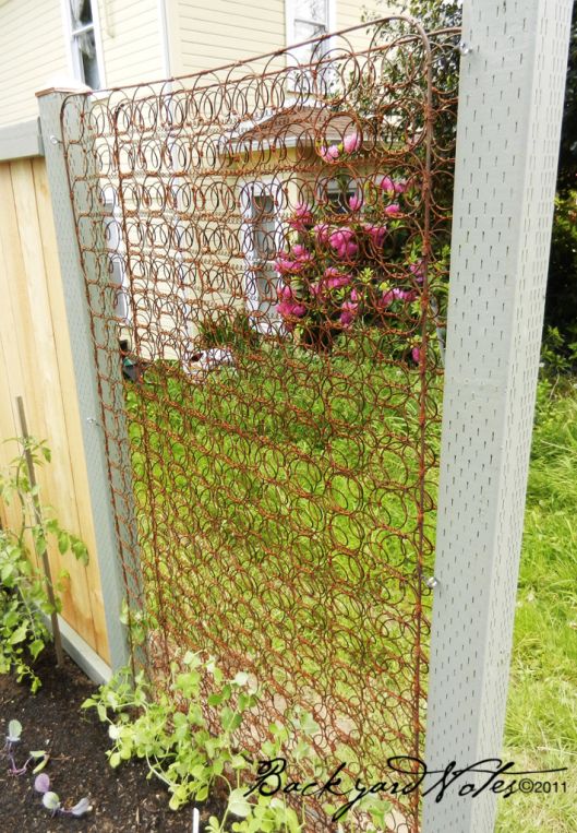 Creative Way To Recycle  Old Mattress Springs As Trellis For Your Garden. 