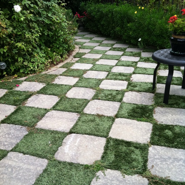 Checkerboard Pathway by Using Square Patio Stones and Then Plant the Earth in Between. 