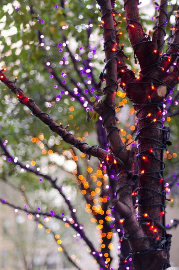 Orange and Purple Tree Halloween Lights. 