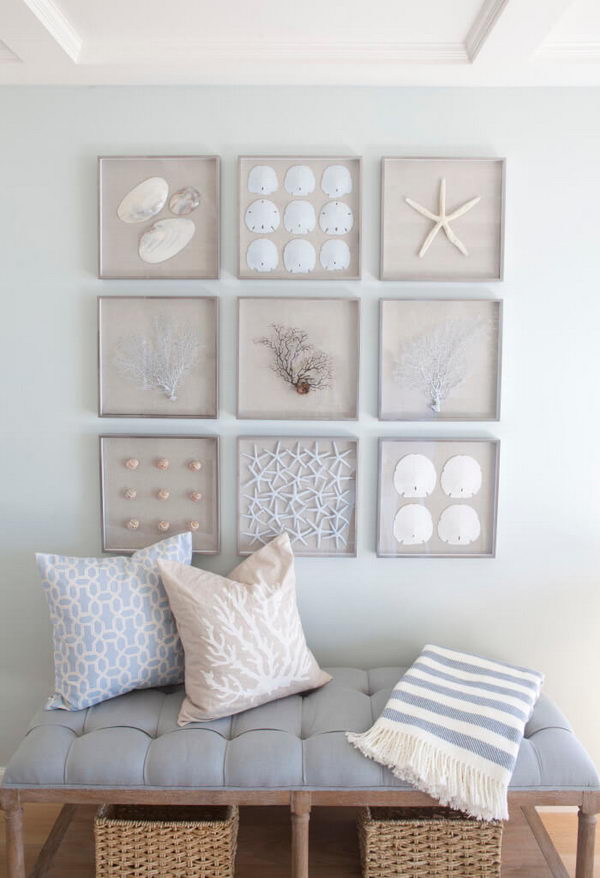A Collection Of Framed Starfish, Sand Dollars, Seashells And Sea Fans For Nautical Wall Art. 
