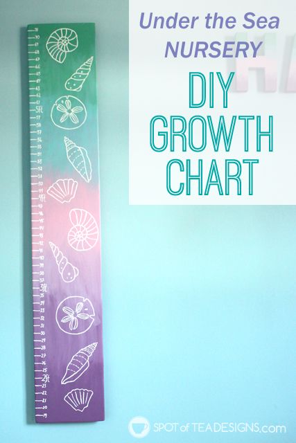 DIY Seashell Growth Chart. 