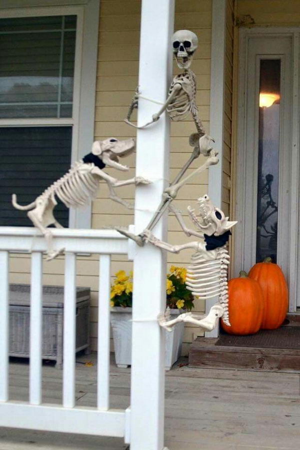 Halloween Funny Skeleton Dogs With Human Skeleton. 
