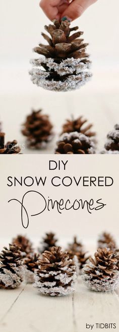 Easy And Inexpensive DIY Frosted Pinecones. 
