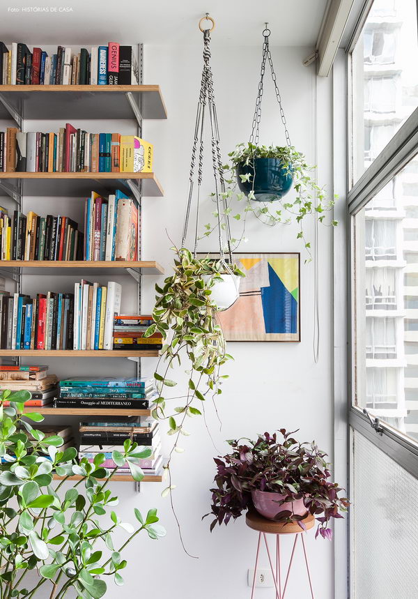 Hanging Plants. 