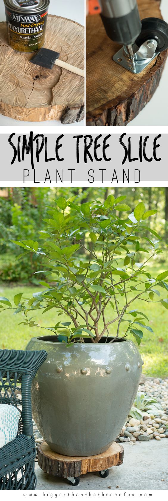DIY Rolling Tree Slice Plant Stand. 