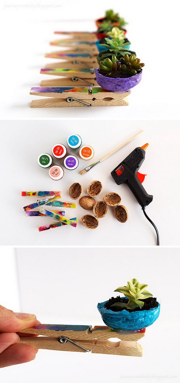 DIY Nut Pots Using Nut Shells And Clothespins. 