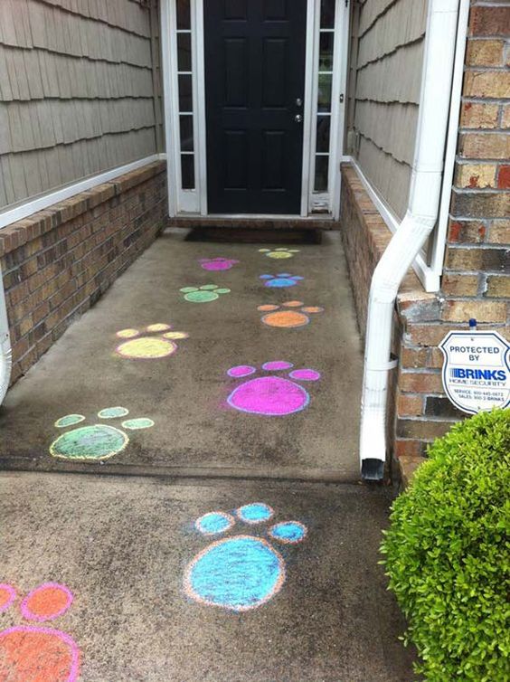 Chalk Bunny Paw Prints. 